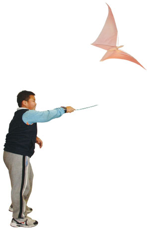 沒有風的時候，也能在室內玩的室內風箏。